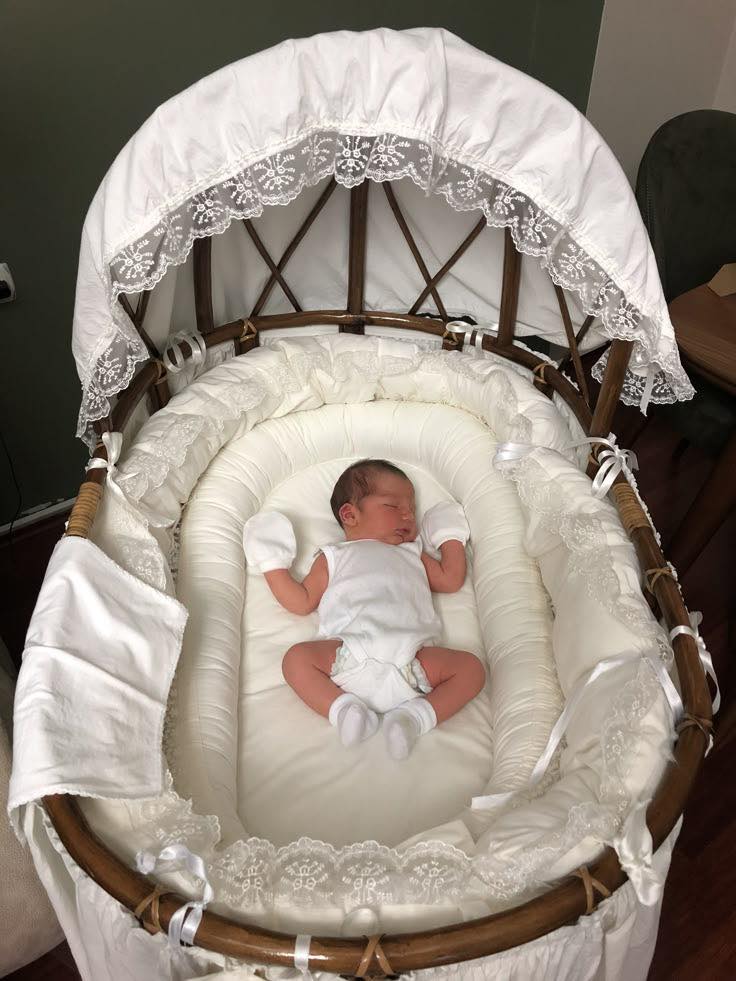 533829054 1330903689036650 6287117404180010822 n